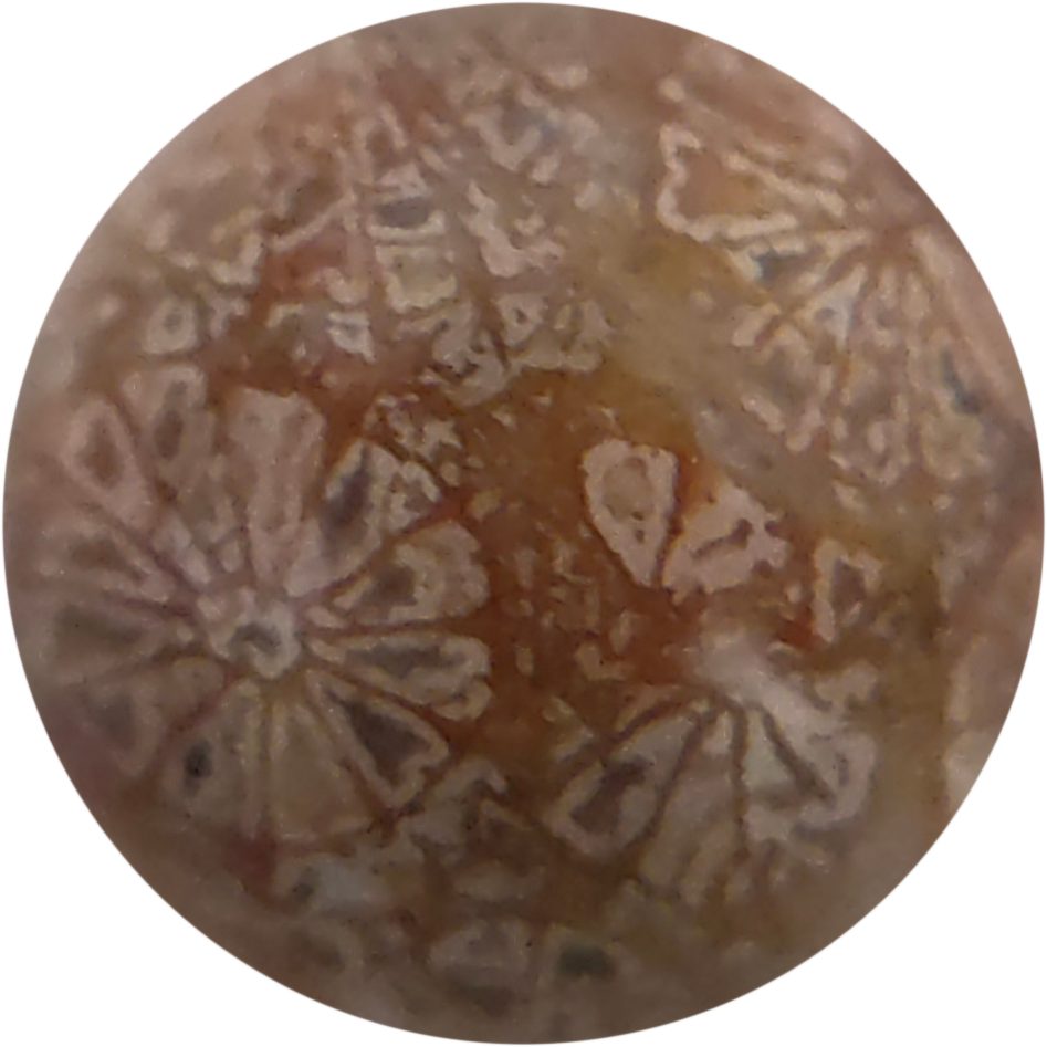 珊瑚玉（11mm）