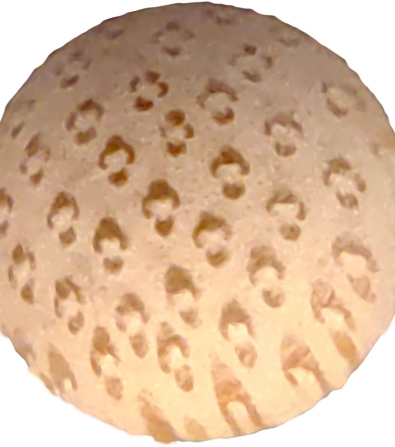 金丝竹（6mm）